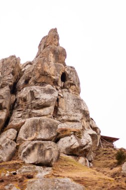 Yaşlı Tustan, Ukrayna 'da yosun ile sallanıyor.