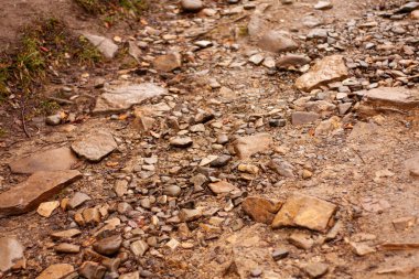 Taşlı bir dağ nehri.