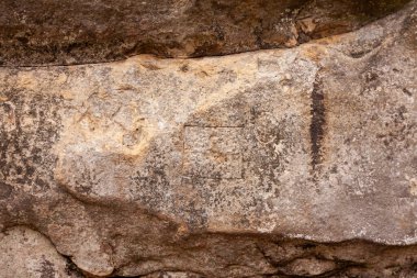 Yaşlı Tustan, Ukrayna 'da yosun ile sallanıyor.