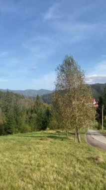 Karpat Dağları manzarası, Ukrayna