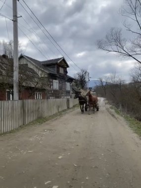 İki at, köyün sokaklarında at arabasıyla gezintiye çıkarıldı.