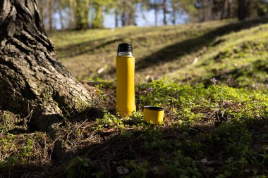 Ormandaki sarı termos Mor çiçekli bir çayırda