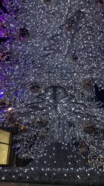 Açık havada gümüş bir Noel ağacının dalları