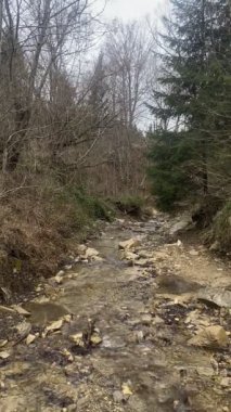 Bir dağ ırmağının suyu mırıldanır.