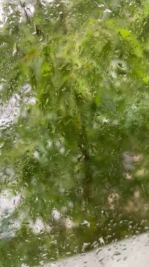 Pencerenin dışında yağmur yağıyor, bardaktan bir damla su akıyor.