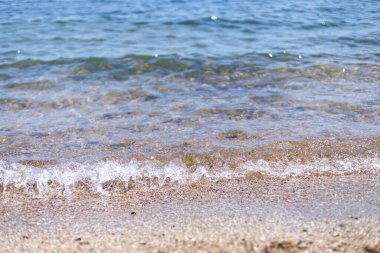 Köpüklü bir deniz dalgası kıyıya deniz kabuklarıyla vuruyor.