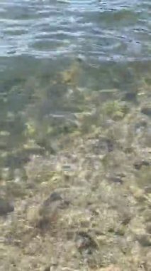 Güneş deniz suyunun yüzeyinde parlıyor, şeffaf su.