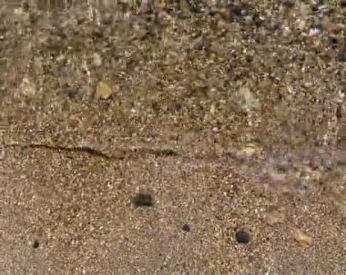 Sahilde deniz dalgası, çakıl taşı plajı, şeffaf deniz suyu.