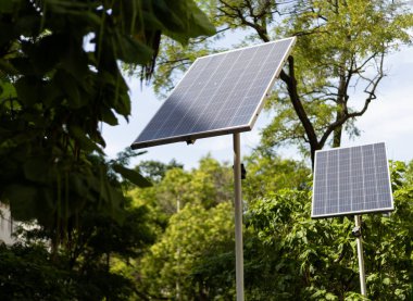 Ağaçların yakınındaki kutuplarda güneş panelleri.