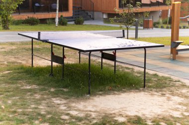 Çimlerin üzerinde tenis masası