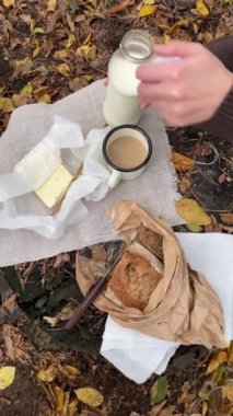 Sonbahar ormanında piknik, açık havada kahve ve bardağa süt dökmek.