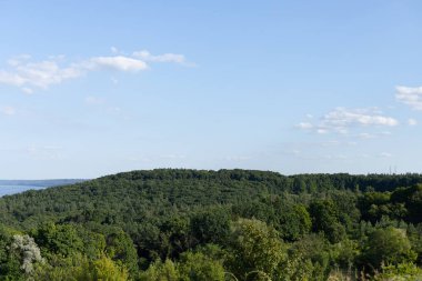 Manzara, mavi gökyüzünün arka planında yeşil ağaçlar