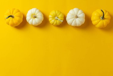 Sarı arka planda düz bir kabak yatağı