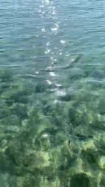 Turkuaz su yüzeyinde güneş yansımaları var.