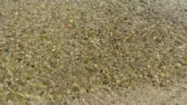 Küçük çakıl taşlı deniz tabanı