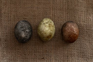 Çuval bezi dokusunda üç Paskalya yumurtası.