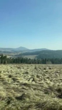 Araba camından sarartılmış kuru otlar, araba yolculuğu...