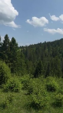 Üstlerinde yeşil ağaçlar bulunan dağlara,