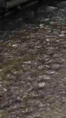 Bir dağ nehrinin su yüzeyi