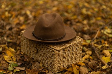 Sonbahar ormanında hasır bir sepetin üzerinde.