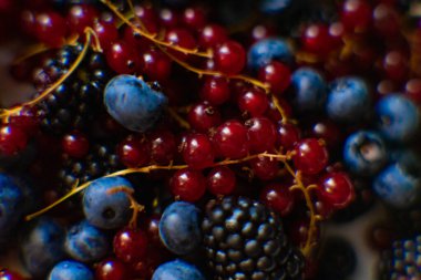 Taze siyah frenk üzümü, yaban mersini ve böğürtlenler beyaz bir tabakta ustalıkla düzenlenerek canlı renkleri ve doğal güzellikleri vurgulanıyor. Bu ağız sulandırıcı görüntü sağlıklı beslenmenin ve mevsimsel lezzetlerin özünü yakalar.