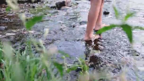 一个赤着脚在石子中的一条小河上行走的女孩 — 图库视频影像