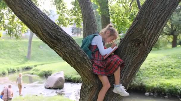 Маленькая Девочка Сидит Ветке Дерева Парке Заднем Дворе Рисует Блокноте — стоковое видео