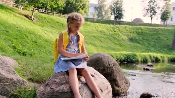 高速川のほとりにある大きな石の上に座っている女の子が — ストック動画