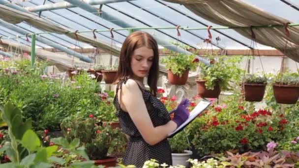 Una Mujer Trabajadora Invernadero Inspecciona Las Plantas Mantiene Registros Registros — Vídeos de Stock