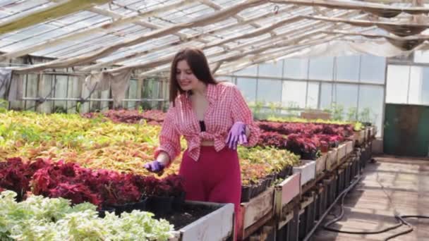 Joven Hermosa Mujer Jardín Flores — Vídeo de stock