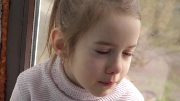 Gran Retrato Una Niña Llorando Con Lágrimas Que Brotan Sus — Vídeos de Stock