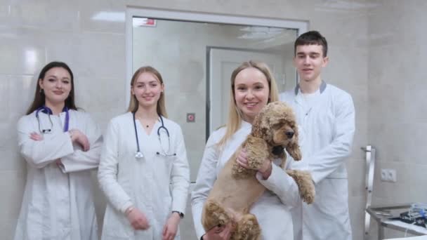 Grupa Studentów Sali Operacyjnej Kliniki Weterynaryjnej Trzymała Psa Ramionach — Wideo stockowe