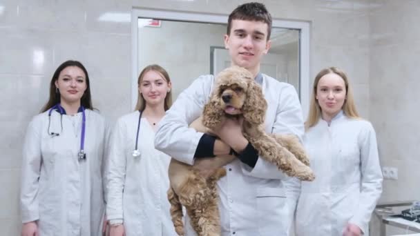 Fiatal Állatorvosok Egy Csoportja Műtőben Egy Kutyát Tart Karjában Kamerába — Stock videók