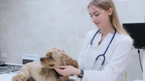 Happy Vet Girl Stethoscope Strokes Dog Smiles Looking Camera — Stock Video