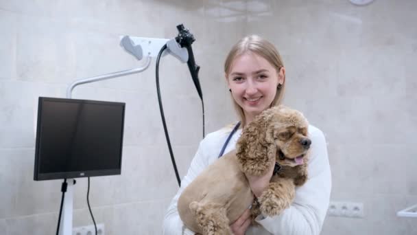 Una Chica Veterinaria Sostiene Perro Sus Brazos Sonríe Una Clínica — Vídeo de stock