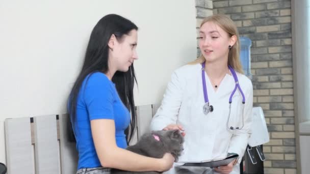 Majitelka Kočky Konzultuje Vedoucím Veterinární Kliniky — Stock video