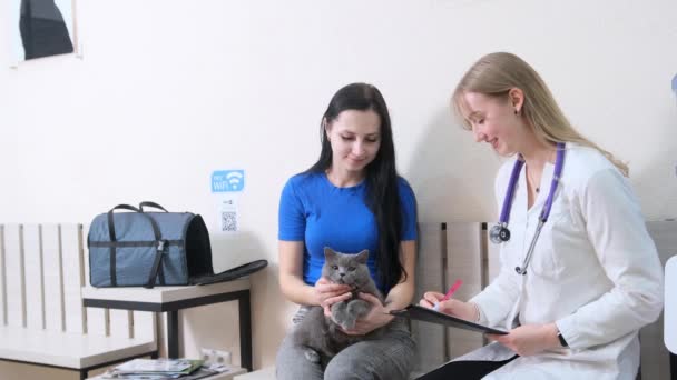Bir Kadın Kedi Sahibi Veteriner Kliniği Yöneticisiyle Görüşür — Stok video