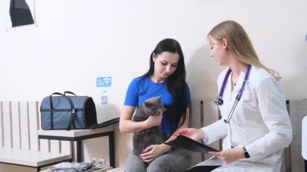 Een Vrouwelijke Kattenbezitter Overlegt Met Dierenarts — Stockvideo