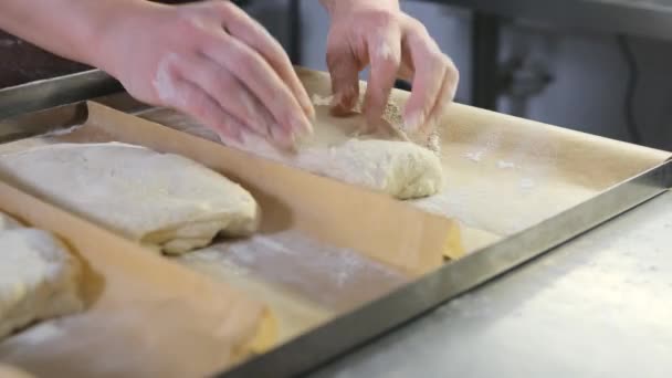 Готувати Формування Сирого Тіста Пергаментному Папері Подальшого Приготування Хліба — стокове відео
