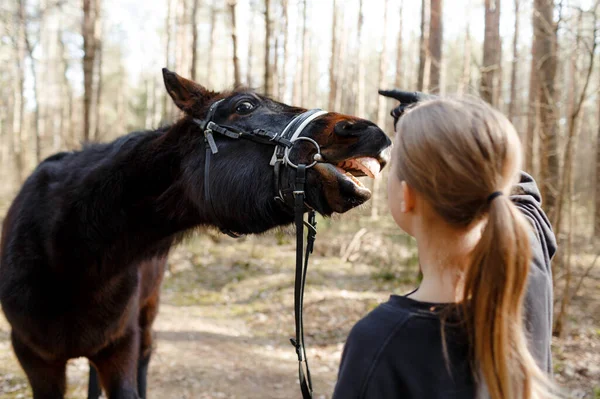 Een Jong Meisje Jockey Knuffelt Een Paard — Stockfoto