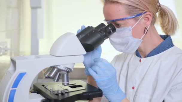研究室の助手が顕微鏡下で試料を調べる 研究室での科学研究 新しい薬を開発するという概念 バイオテクノロジー分野での実績 — ストック動画