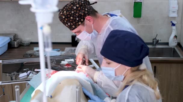 Хирург Ассистентом Проводит Сложную Операцию Собаке Ветеринарная Операционная — стоковое видео