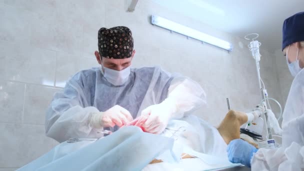 Chirurgie Canine Gros Plan Santé Animaux Hôpital Traitement Médecine Concept — Video