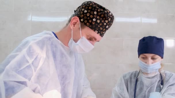 Μια Σύγχρονη Κτηνιατρική Κλινική Ένας Χειρουργός Και Ένας Βοηθός Εκτελούν — Αρχείο Βίντεο