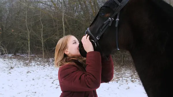 Beautiful Teenage Girl Playfully Kisses Brown Horse Foggy Field — Stock Photo, Image