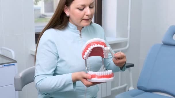 Een Vrouw Wordt Getoond Met Een Tandenborstel Een Model Van — Stockvideo
