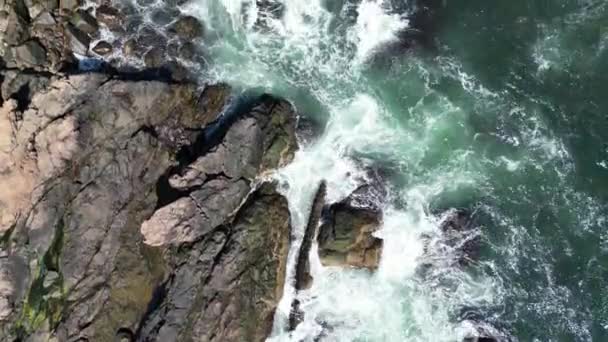 Κηφήνας Βίντεο Του Νερού Συντρίβεται Κατά Μήκος Της Ακτής Και — Αρχείο Βίντεο