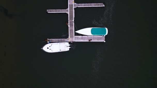 Marina Boats Docked Straight Looking — Stock Video