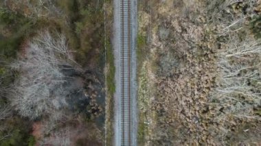 Ormanda tren rayları - İleri hareket