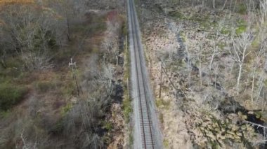 Ormanda tren rayları - Pan Up